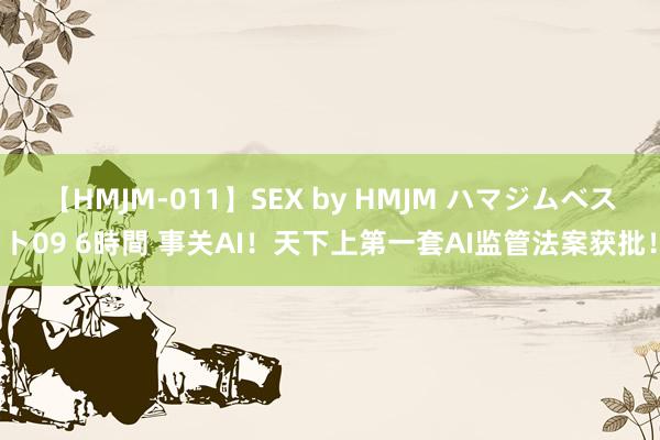 【HMJM-011】SEX by HMJM ハマジムベスト09 6時間 事关AI！天下上第一套AI监管法案获批！