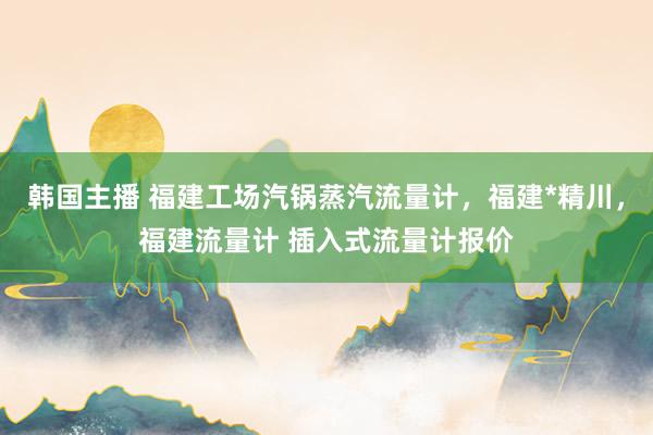 韩国主播 福建工场汽锅蒸汽流量计，福建*精川，福建流量计 插