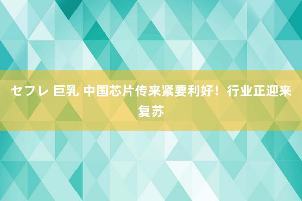 セフレ 巨乳 中国芯片传来紧要利好！行业正迎来复苏