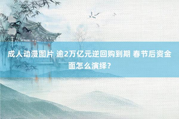 成人动漫图片 逾2万亿元逆回购到期 春节后资金面怎么演绎？