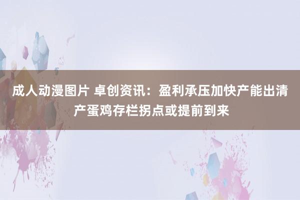 成人动漫图片 卓创资讯：盈利承压加快产能出清 产蛋鸡存栏拐点